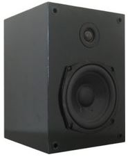 CM-100  Monitor Speaker